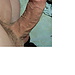 lepelle avatar