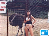 hm...what the interesting ostrich