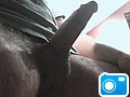 Picture_4.jpg
