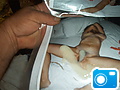 Newtoy_015.jpg
