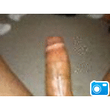 photo-ffadult-r40-s1-62485511_89612_30372509_square.gif
