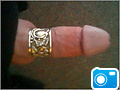 silverdick.jpg