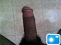 IMG00011.JPG