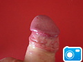 DSCN4043.JPG