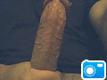 photo-ffadult-r40-s1-39625393_64453_37919598_main.gif