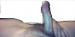 mrno75's avatar