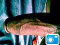 Picture.jpg