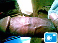 Picture_002~0.jpg