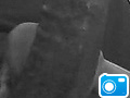 Black_n_white.jpg