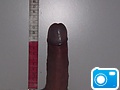 IMGP5472.jpg