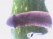 fiman8's avatar