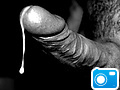 29547_2.jpg