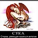 nata-popowa avatar