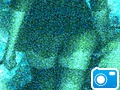 20071027057-2.jpg