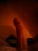 hamleto74's avatar