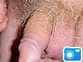 284769-1.jpg