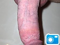 Picture_012.jpg