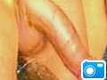 ZZCopy_of_zMY__COCK_SPECIAL.jpg