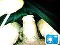 img000721.jpg