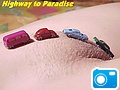 highway_to_pussy.jpg