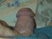 roper6830 avatar