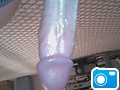 Newest_Cock2.JPG