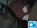 mydick3_(2).jpg