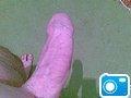 Image058_____________.jpg