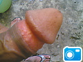 Cock-head.jpg