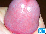 The Head from my Cock