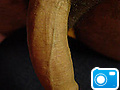 2250099081_0a6d1f74d4_m.jpg