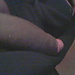 stunninshark