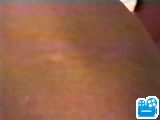 scene1_EB7CA2.flv