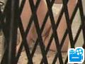 scene1_7232D0.flv