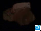 scene1_B8634A.flv