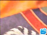 scene1_1D2A6C.flv