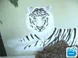 scene1_E94C4E.flv