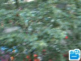 scene1_D5AD15.flv