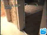 scene1_841DDA.flv