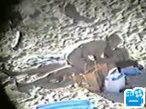 scene1_54F6B8.flv