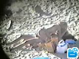 scene2_D6E53E.flv
