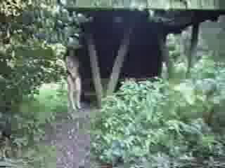 Flashing