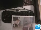 10831_9ae98.flv