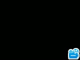 VID_20240927_210630045.flv