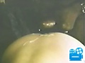 classicscene051scene001.flv