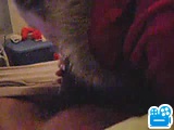 webcams1scene006.flv
