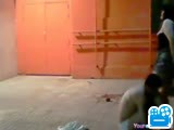 Voyeur Tapes A Couple Having Doggystyle Sex