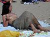 smoking on the beach-470l_007t_250.jpg