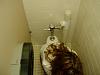 Shot from above-293206643wahgsi_pht_128.jpg