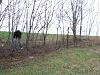 Busted in the forest!-294722095jmlfvc_pht_127.jpg